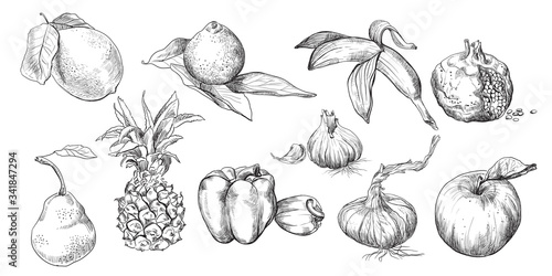 Hand drawing fruits set