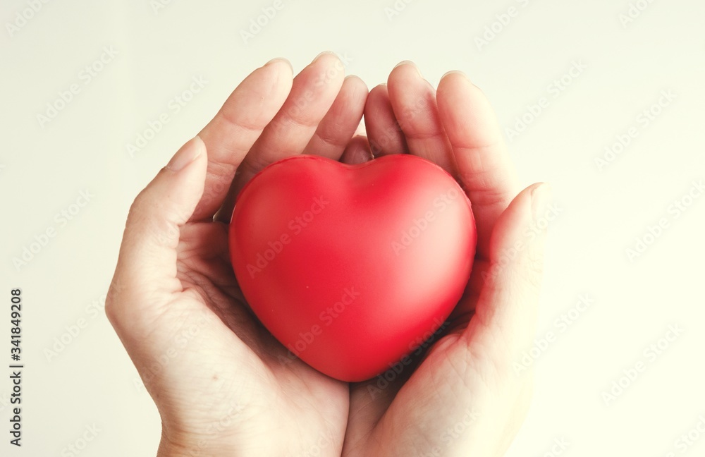 Woman hand holding red heart, health care, donate and family insurance concept, world heart day, world health day,CSR responsibility, adoption foster family, hope, gratitude, kind, concept Woman hand holding red heart, health care, donate and family insurance concept, world heart day, world health day,CSR responsibility, adoption foster family, hope, gratitude, kind, concept