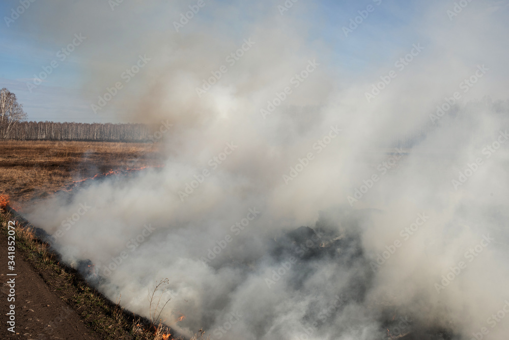 Fire on field, thick smoke, dry grass burns