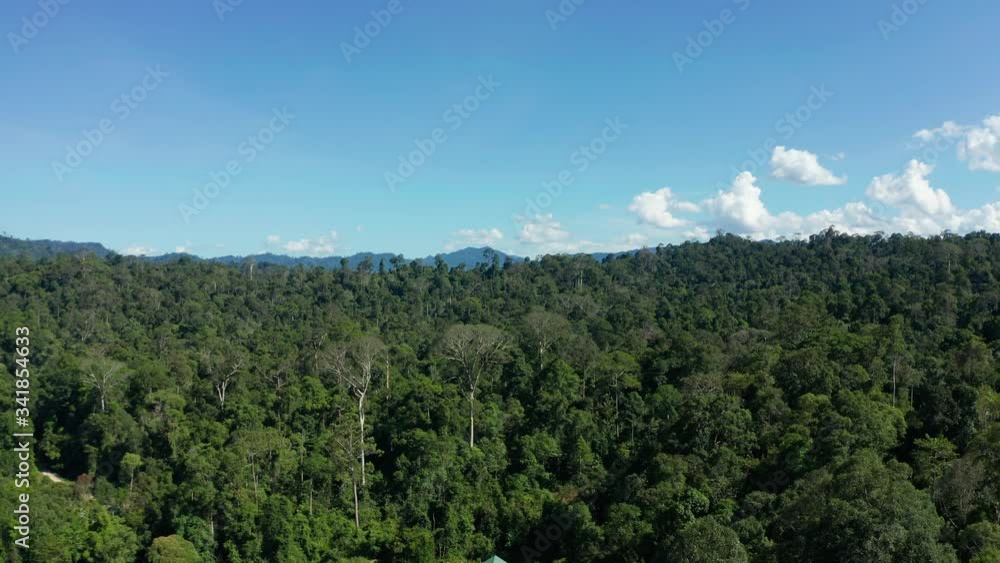 Aerial Drone image of stunning beautiful deep Rainforest Jungle of Borneo island. Aerial Drone image of stunning beautiful deep Rainforest Jungle of Borneo island.