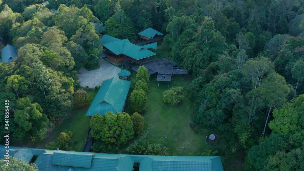Aerial Drone image of stunning beautiful deep Rainforest Jungle of Borneo island. Aerial Drone image of stunning beautiful deep Rainforest Jungle of Borneo island.