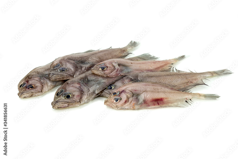 The sole fish isolated close-up The sole fish isolated close-up