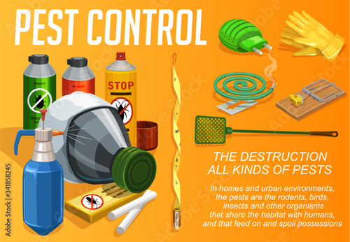 Pest control service, vector poster, domestic disinsection and extermination. Urabn deratization, cockroaches, bugs, ticks and sanitary disinfection, flies mosquitoes and insects fumigation