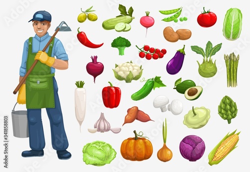 Farmer and organic vegetables harvest vector icons, farming agriculture. Bio agrarian and natural eco farm vegetables tomato, cabbage, and onion, pumpkin, corn and eggplant, cauliflower and broccoli