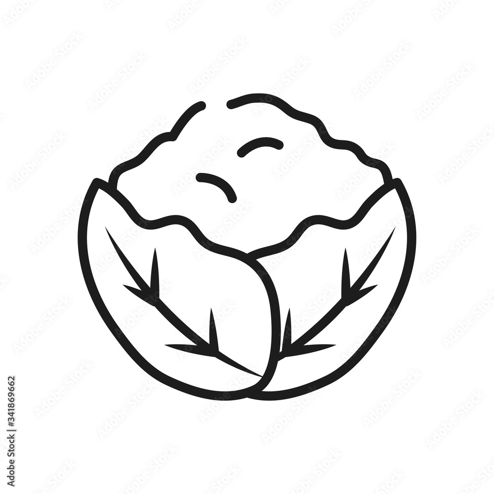 fruits and vegetables concept, coliflower icon, line style fruits and vegetables concept, coliflower icon, line style