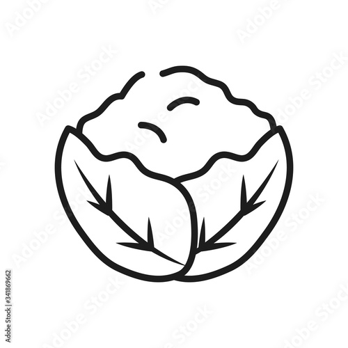 fruits and vegetables concept, coliflower icon, line style photo