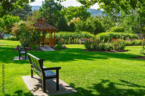Fotografi Recreation area with benches and wooden gazebo under blossoming sunflowers