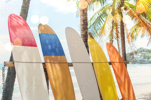 Photography Many surfboards beside coconut trees at summer beach with sun light and blue sky background
