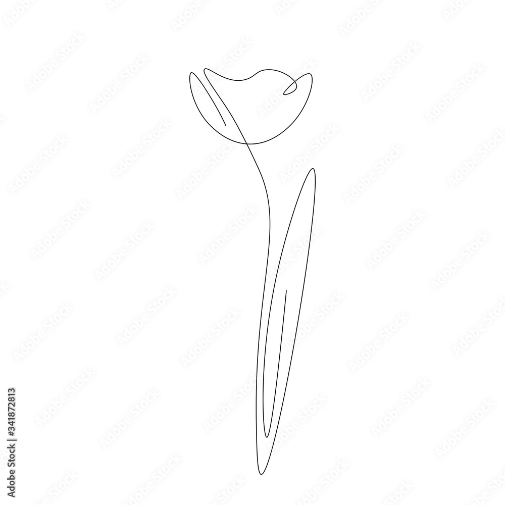 Flower tulip isolated on white background, vector illustration Flower tulip isolated on white background, vector illustration