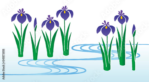 端午の節句 手描きの和風花菖蒲イラスト Stock Vector Adobe Stock