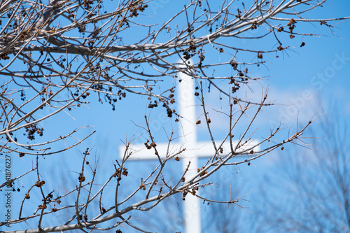 Church cross outdoors behind a tree