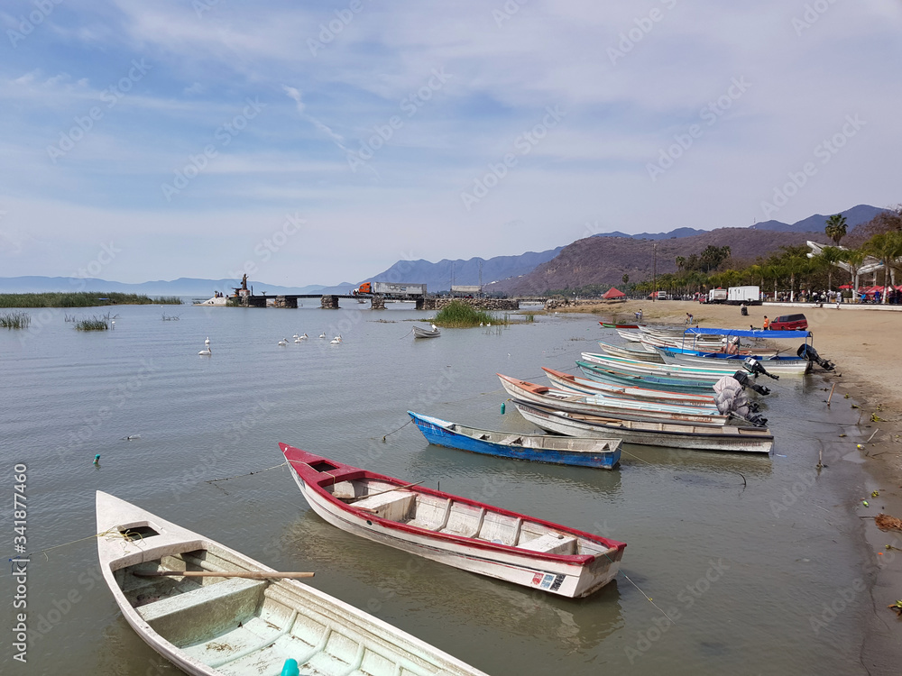 Several small motorboats on the shore of Lake Chapala