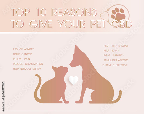 top 10 reasons ti give your pet cbd is  healthy  infographic