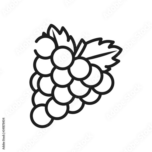 vegetables and fruits concept, bunch of grapes icon, line style