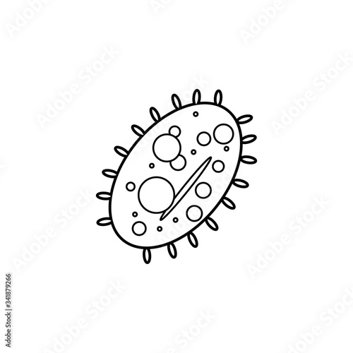 Vector common human virus