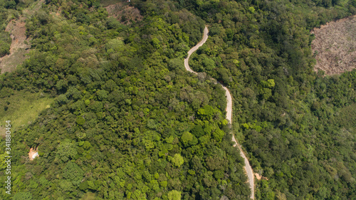 aerial view of green forest and road