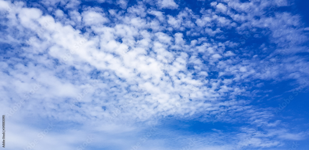 Fototapeta premium blue sky with clouds