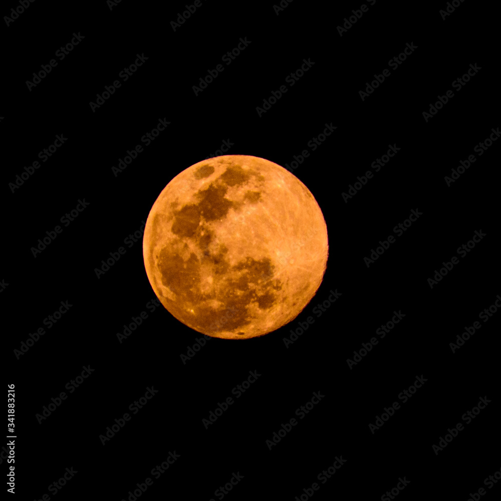 Obraz premium Pink super moon visible on April 7, 2020 and April 8, 2020