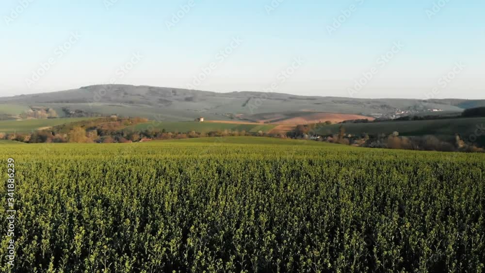 Fantastic view of the beautiful green hilly fields of Moravia, Czech Republic. Top view from drone. Fantastic view of the beautiful green hilly fields of Moravia, Czech Republic. Top view from drone.