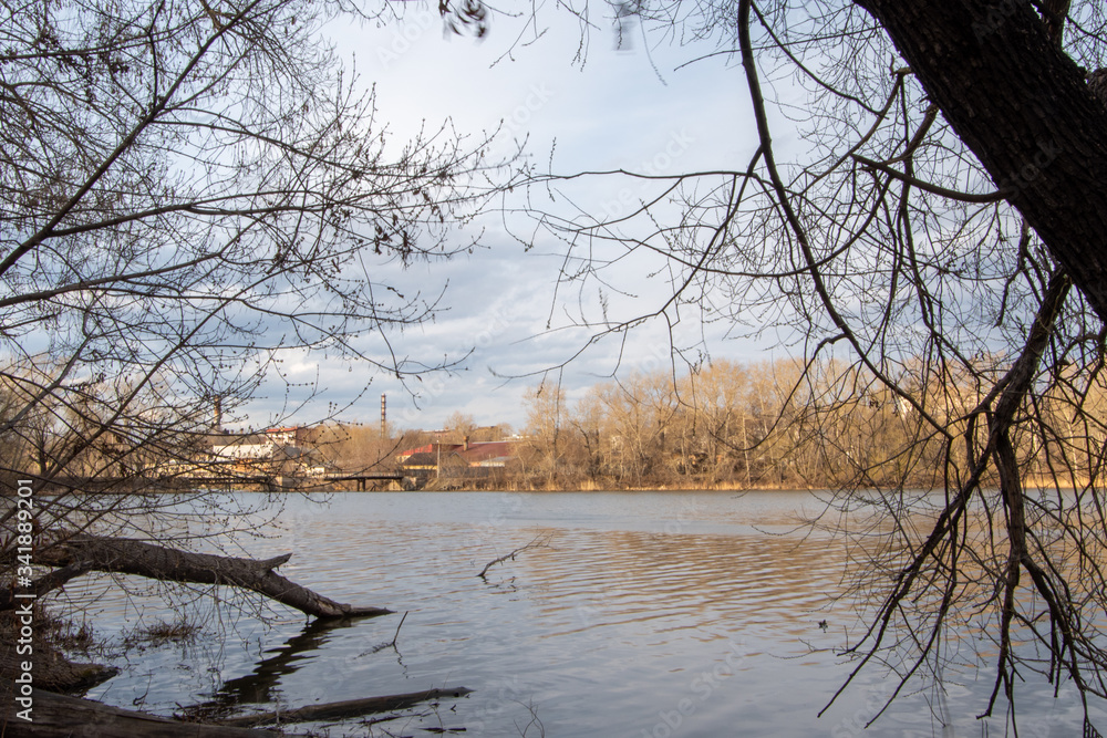 In early spring, on the banks of the river. A fallen tree lying in the water near the shore. Spring landscape In early spring, on the banks of the river. A fallen tree lying in the water near the shore. Spring landscape