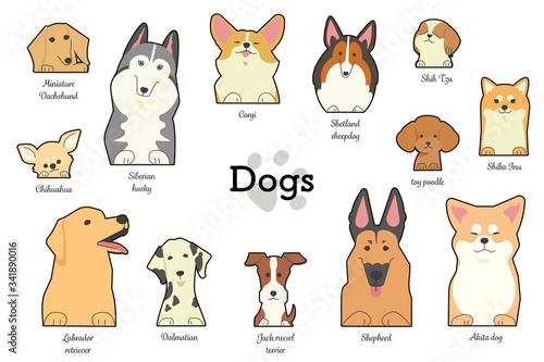 前足を乗っけているいろいろな種類の犬たち（種類付き）