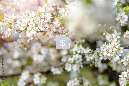 Symbol of the house on the branches of a flowering cherry
 photo