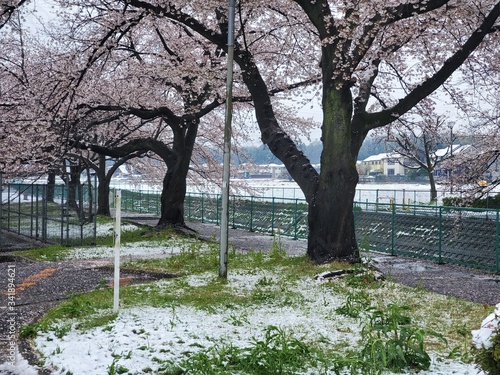 park in the park