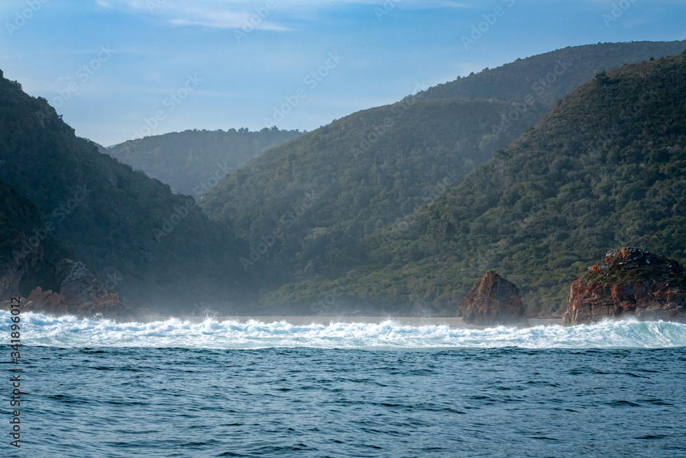 View from the ocean into the coastal forest of the garden route, south africa View from the ocean into the coastal forest of the garden route, south africa
