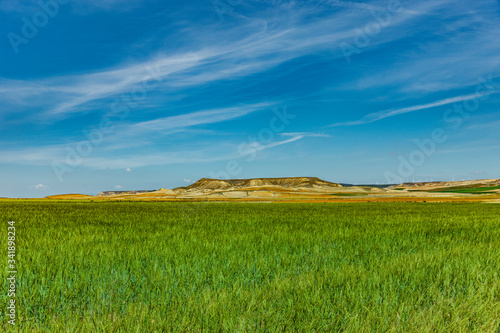 Getreidefelder in der Wüste Bardenas Reales, Navarra
