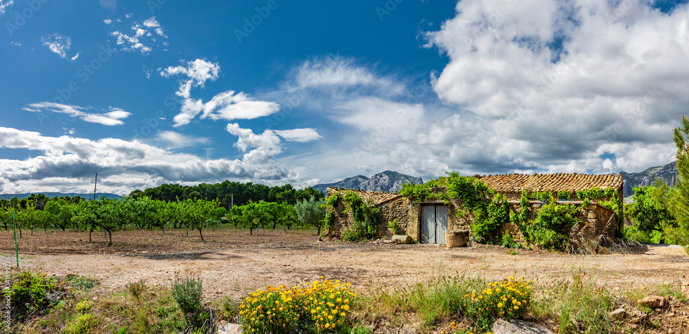 Landschaft mit Obst- und Olivenbäumen in Aragon, Sapnien
