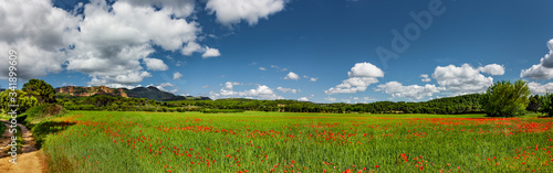 Landschaft mit Mohnblumenfeld in Aragon © by-studio