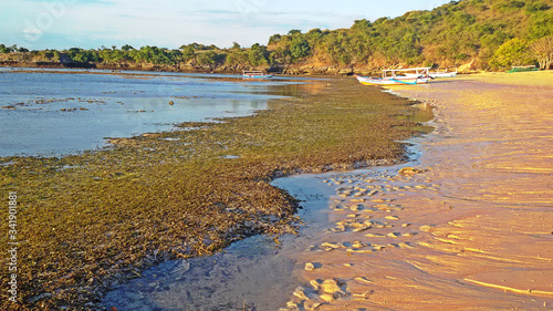 pink beach