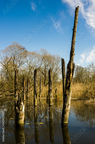 old pales in scenic lake view