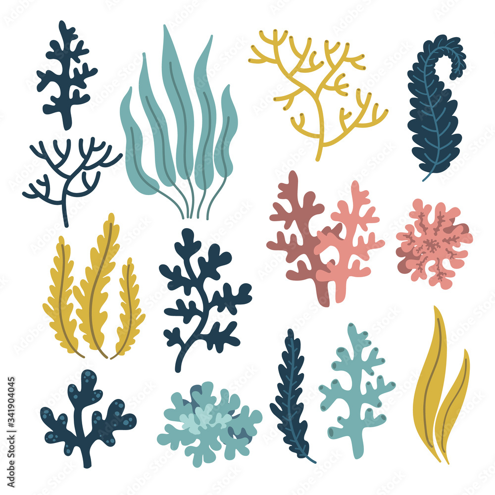 cute plants and coral, underwater world elements set, sea of ocean, vector illustration hand drawing cute plants and coral, underwater world elements set, sea of ocean, vector illustration hand drawing