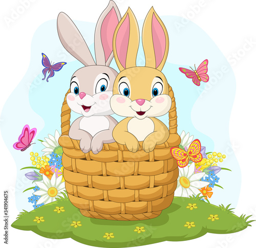 Couple rabbit cartoon in the basket