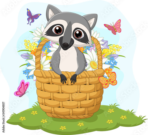 Cartoon funny raccoon in the basket