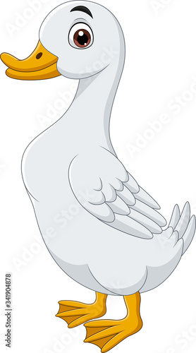 Cartoon duck isolated on white background