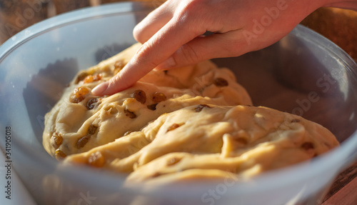 The woman checks the finished dough in a transparent bowl in the kitchen. Fresh kneaded dough on yeast with raisins, the ingredient of the Easter pie