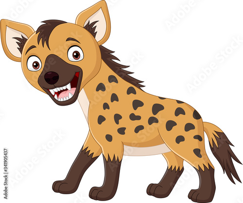 Cartoon funny hyena isolated on white background