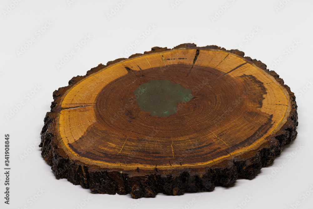 Round wood slice with bark isolated on white background. Large wooden slab for centerpiece. Round wood slice with bark isolated on white background. Large wooden slab for centerpiece.
