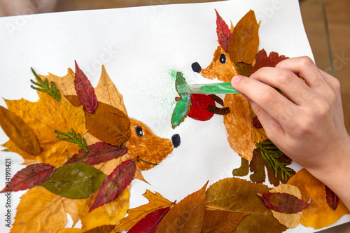 Girl makes an application from dry leaves. Children applique on the autumn theme. Hedgehogs and apple photo