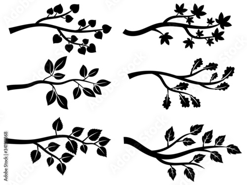 Set of tree branches silhouettes. Collection of various branches with oak, maple, rowan and birch leaves. Set of decorative autumn. Black and white illustration on a white background. Tattoo.