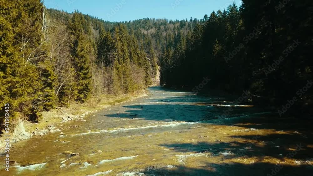 Mountain pine river flight over drone river soars above mountain water Mountain pine river flight over drone river soars above mountain water