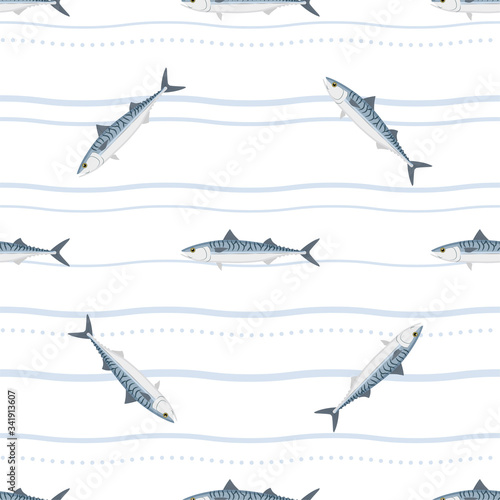 Mackerel. Commercial Fish species.