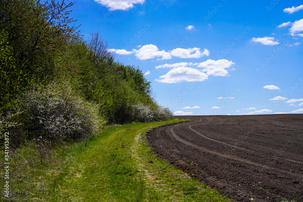 landscape with blue sky and clouds