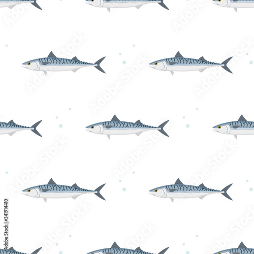Mackerel. Commercial Fish species.