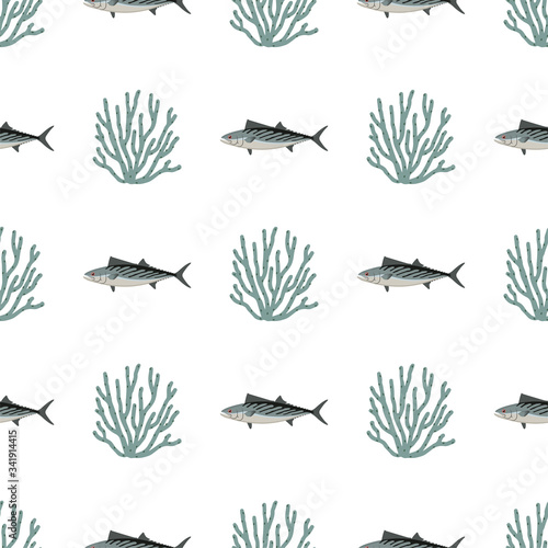 Bonito. Fish. Colored Vector Patterns.