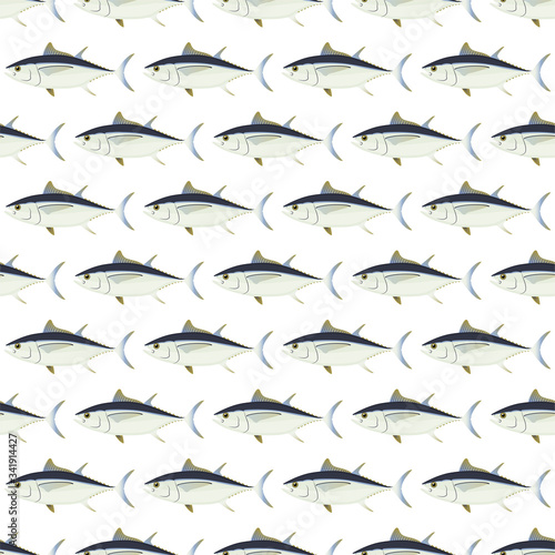 Tuna. Commercial Fish species. Colored Vector