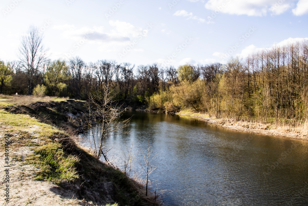 Ukranian landscape in the forest. Pine forest with a river name Psel in city Sumy. Pine trees on a river bank in Ukraine. Beautiful river called Psel Ukranian landscape in the forest. Pine forest with a river name Psel in city Sumy. Pine trees on a river bank in Ukraine. Beautiful river called Psel