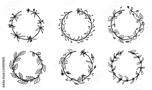 Tableau sur toile Wild herbs, drawn by a black line on a white background